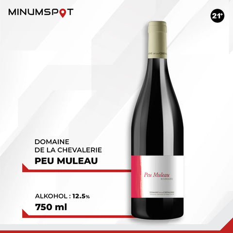 Domaine de la Chevalerie Peu Muleau Bourgueil 750ml